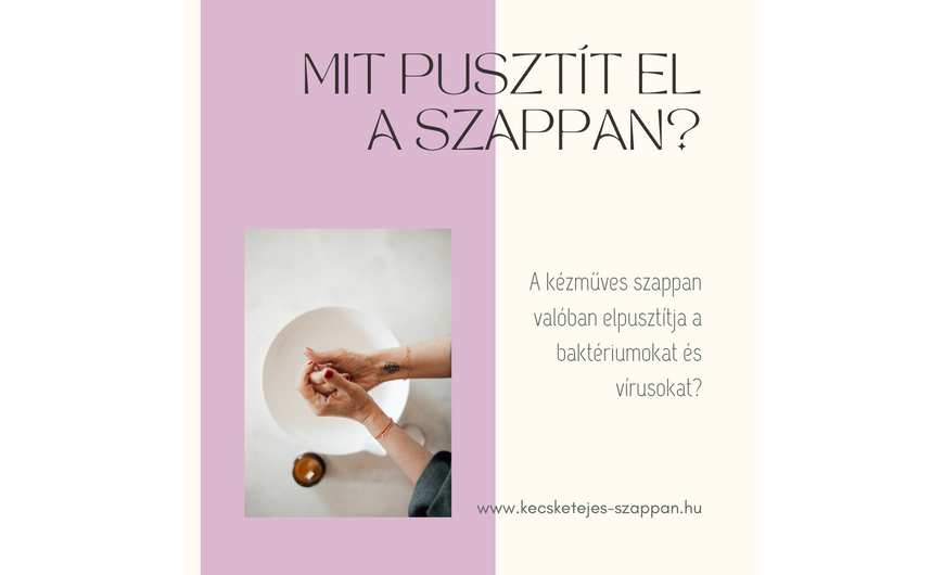 A szappan és a baktériumok